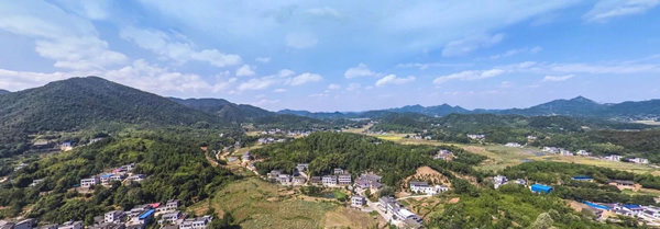 图片11.jpg